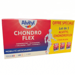 CHONDROFLEX 3 MOIS