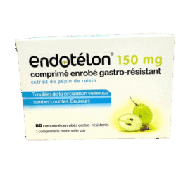 ENDOTELON JAMBES LOURDES 60 COMP