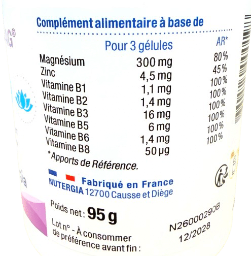 NUTERGIA ERGY MAG 90 gélules